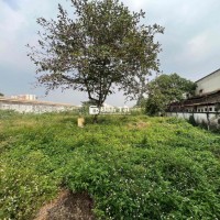 Cho Thuê Đất 4650m2 Mặt Tiền An Dương Vương, Quận 8
