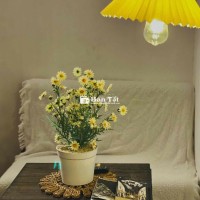 CHO THUÊ PHÒNG FULL NỘI THẤT NHƯ HÌNH