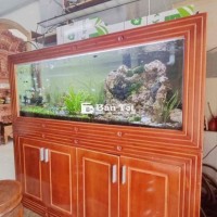 Cần bán nhà riêng Quận 8, chính chủ định cư nước ngoài