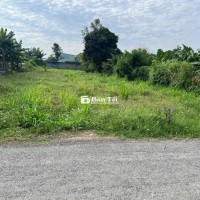Đường nhựa xe tải Đặng Thị Giọt, xã Tân Phú Trung, 1.900m2 full thổ