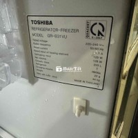 Thanh Lý Tủ Lạnh Toshiba 256 Lít - Giá Hạt Dẻ!