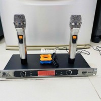 Micro không dây BW-WM1700