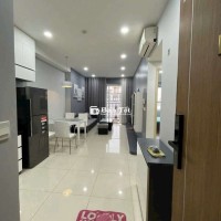 Cho Thuê Richstar Novaland Tân Phú - 2PN Full Nội Thất - Giá Siêu Rẻ