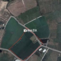 Đất Trang Trại 12.000m2 vuông vức 3 mặt tiền Hàm Thuận Bắc Bình Thuận