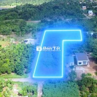 ĐẤT PHỐ ĐƯỜNG ĐẸP GIÁ SIÊU TỐT RẺ HƠN HUYỆN SIÊU TIỀM NĂNG 🔥 CƠ HỘI ĐÓN ĐẦU HẠ TẦNG - ĐƯỜNG NHỰA LIÊN KẾT HÒA PHÚ - HÒA XUÂN 🔥
