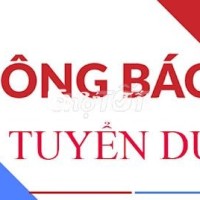 CẦN KỸ THUẬT VÀ TỔ TRƯỞNG CHUYỀN MAY (HCM)