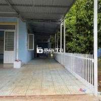 Bán miếng vườn và căn nhà cấp 4 khang trang  Diện tích:1000m2 Đất Thổ