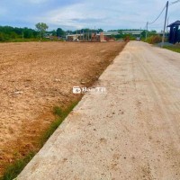 Bán Đất Tân Định Bến Cát Mới Khui Giá Đầu Tư DT Rộng 200m