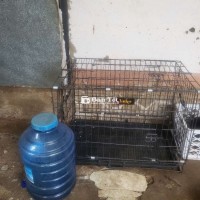 Lồng sơn tĩnh điện