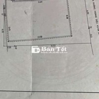 Cho Thuê Nhà Vườn Siêu Thoáng Dạng Sân Vườn, Decor Hội An Đẹp