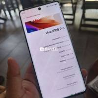 vivo x100s pro