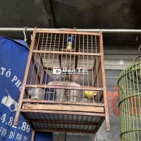 ra đi bộ ốc mít