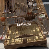 Cafe Cứng nết lật nhạy bung nhạy ché
