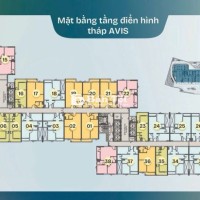 Căn hộ TT Avio - Cơ hội đầu tư siêu lợi nhuận!