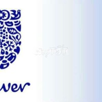 NHÂN VIÊN TRƯNG BÀY UNILEVER ĐÀ LẠT