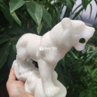 Tượng. Hổ bao. Đẹp