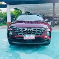 Hyundai Tucson 2.0 ATH SX2022 model 2023
