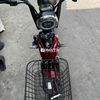 xe điện 2025