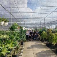 Tuyển Trưởng phòng Kinh doanh Vận tải