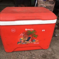 Thanh lý thùng đá 25L Duy Tân - Hàng đang sử dụng tốt  