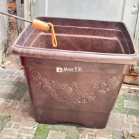 Thanh lý chậu trồng cây to