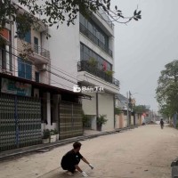 Cần bán đất tặng nhà mới xây cực đẹp - Biểu Khê, Đông Anh