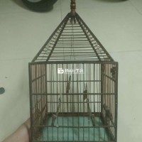 Cần giao lưu chim hoặc gà