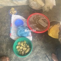 Mật Ong rừng nguyên chất Ba Vì - Quãng Ngãi