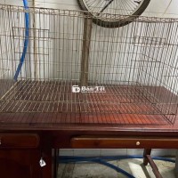 lồng sắt