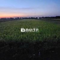 🔥 2 sào ruộng thôn 3 giá chỉ #150tr/sào Hòa Phú 🔥
19,5x103m nở hậu
