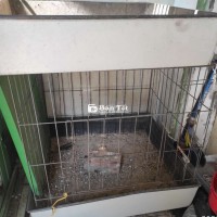 Bán chuồng gà vuông 60