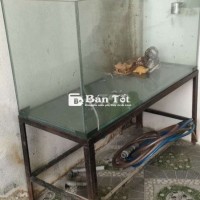Bán hồ cá và chân hồ