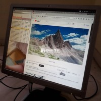 Màn hình vuông 19 inch HP cổng DVI, VGA