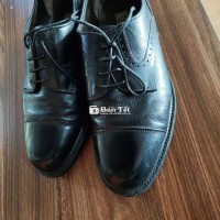 Giày Derby Regal Captoe Xịn
