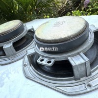 Cặp bass khung Gang 20cm (Victor- Nhật)