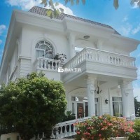 Vila MT Đoàn Nguyễn Tuấn - Bình Chánh gần 6910m2 thổ cư chỉ 35tr/m2