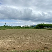 BÁN ĐẤT TRỒNG CÂY VIEW LÚA, VIEW SÔNG - KHU ONT