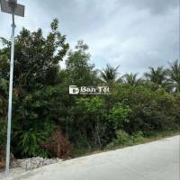 Chính chủ cần bán đất lúa tại ấp bình cang 1,Thủ Thừa, Long An