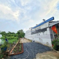 Bán Đất Tại Phường Tương Bình Hiệp, Thủ Dầu Một, Bình Dương - Giá 1,88 Tỷ/203m² SHR  