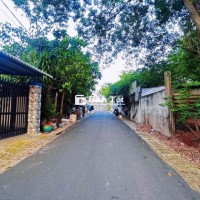 Bán Nhanh Đất Gần Chợ Trường Học Phường Tương Bình Hiệp TDM BD