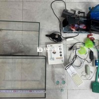Hồ cá và phụ kiện