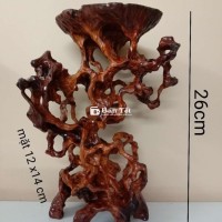 Đôn Bonsai Nghệ Thuật Đẹp
