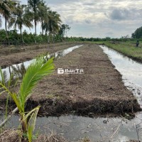 Bán Đất Vườn 7500m2 Có 150 ODT - Thích Hợp Làm Nhà Vườn, Đào Ao Thả Cá  