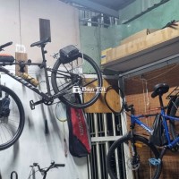 Gian Rincon 27.5 và Roam 2 2024