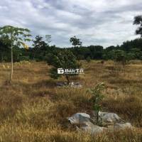 Tuyển cặp vợ chồng làm vườn ở Long Thành Đồng Nai