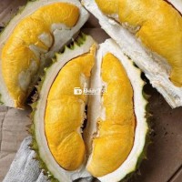 sầu riêng ri6 loại 1 từ 3 múi trở lên
