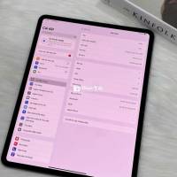 iPad Pro M4 13 Inch Mỹ 256GB Pin 98% CBH 07/2025 Màu Xám