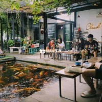 💜Cho thuê mặt bằng sân vườn 560m2 , ngang 10m , vị trí đẹp