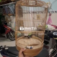 Choè đất chuyền lên 1 mùa