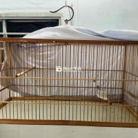 Cần Thanh Lý Lồng Lực Tre 80 Cho Chào Mào (Còn Mới)  